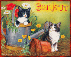 Bonjour