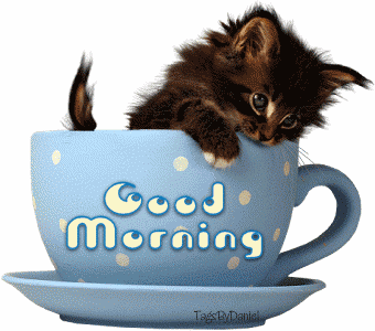 Bonjour