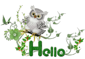 Bonjour