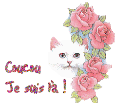 Bonjour