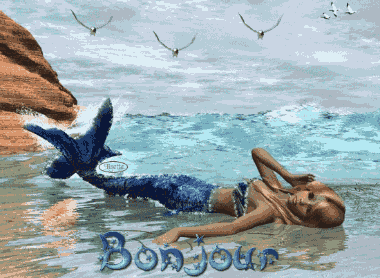 Bonjour