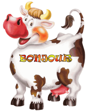 Bonjour