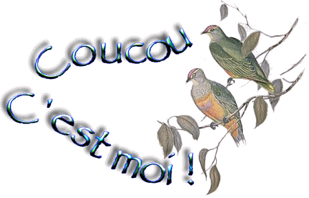 Bonjour