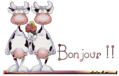 Bonjour