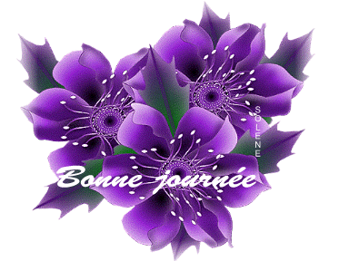 Bonnejournee