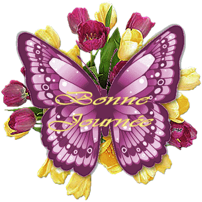 Bonnejournee