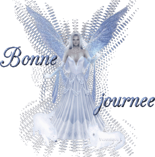Bonnejournee