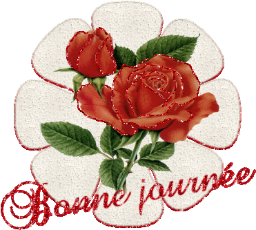 Bonnejournee