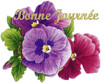 Bonnejournee