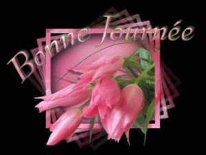 Bonnejournee