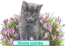 Bonnejournee
