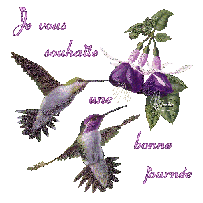 Bonnejournee