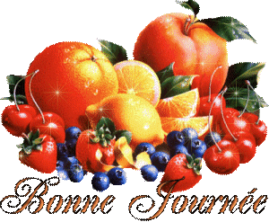 Bonnejournee