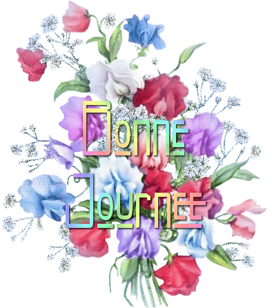 Bonnejournee