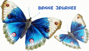 Bonnejournee