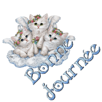 Bonnejournee