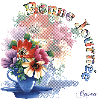 Bonnejournee