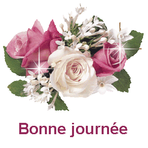 Bonnejournee