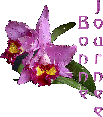 Bonnejournee