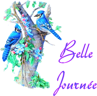 Bonnejournee