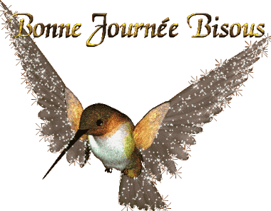 Bonnejournee