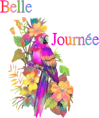 Bonnejournee
