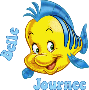 Bonnejournee
