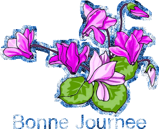 Bonnejournee