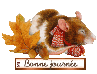 Bonnejournee