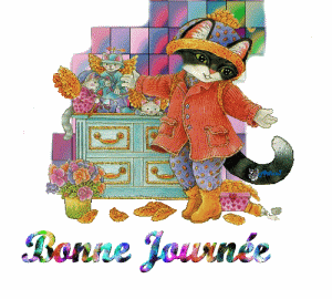 Bonnejournee