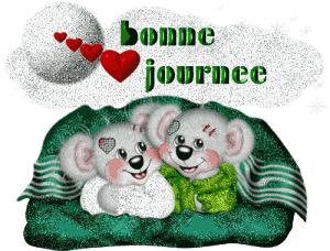 Bonnejournee