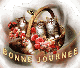 Bonnejournee