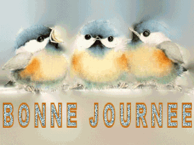 Bonnejournee