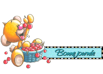 Bonnejournee