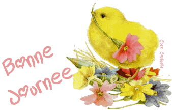 Bonnejournee