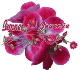Bonnejournee