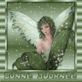 Bonnejournee
