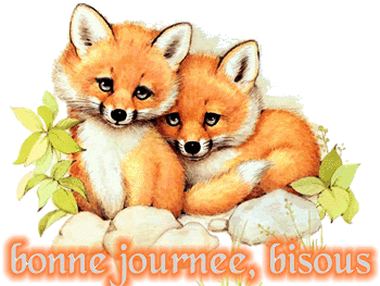 Bonnejournee