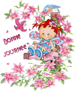 Bonnejournee