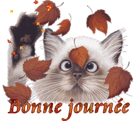 Bonnejournee