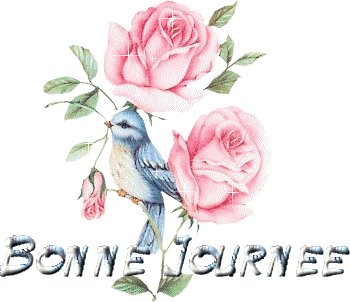 Bonnejournee