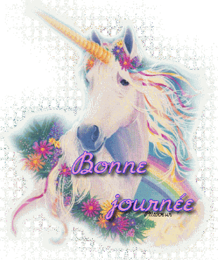Bonnejournee
