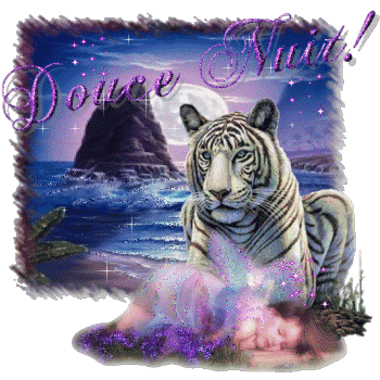 Bonnenuit
