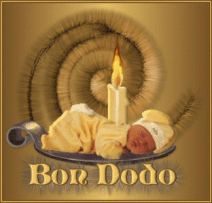 Bonnenuit