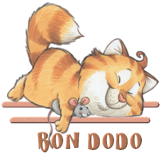 Bonnenuit