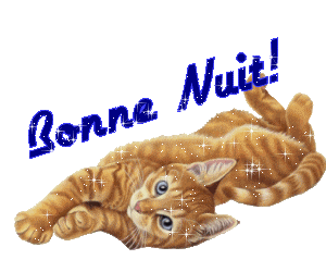 Bonnenuit