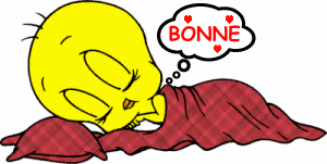 Bonnenuit