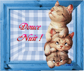 Bonnenuit