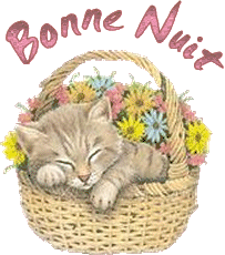 Bonnenuit