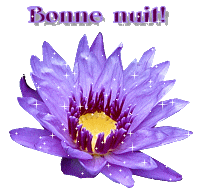 Bonnenuit